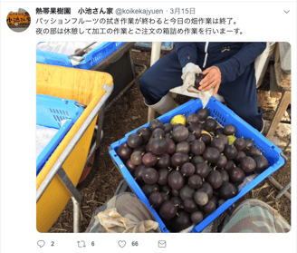 日常業務を紹介