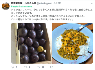 パッションフルーツのオススメの食べ方を紹介