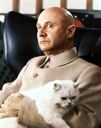 These: Die Katze kompensiert den Mangel an Haaren.