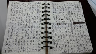 このようにビッシリと３ページに渡り現在のサバイバルストーリーが展開されていた