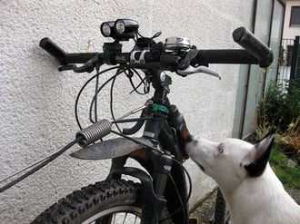 Dogscooter Lenker Dogscooting Zughundesport