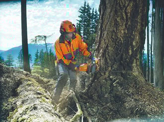 Forsttechnik Motorsägen Husqvarna