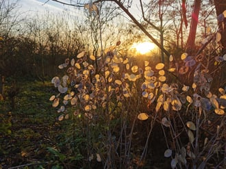 Aufstellung Orte Häuser Berlin