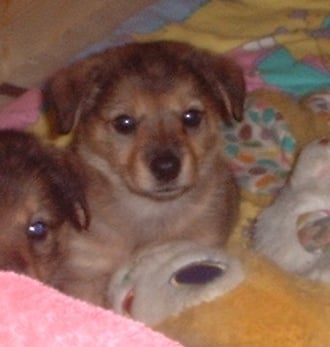 Bin ich nicht hübsch......