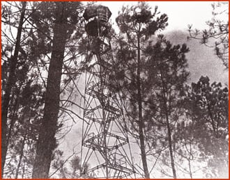 orthe, feu, foret, incendie, pignada, mirador, prevention, landes, aquitaine, etigny