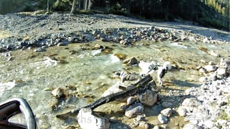 Trinkstopp an der Leutascher Ache