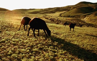 die Landschaft ruhig und fast unberührt