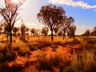 noch 1 km bis zur freien Sicht auf den Uluru