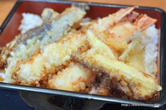 LifeTeria blog ブログ　おりじん