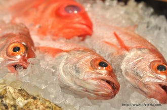 LifeTeria blog ブログ