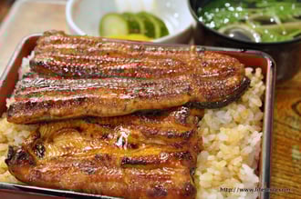 LifeTeria blog ブログ　鰻のひろ田