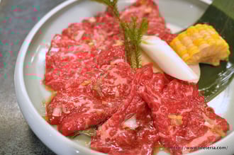 LifeTeria blog ブログ　焼肉游園