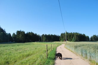 Viele Reitwege gehen direkt vom Hof in das Gelände