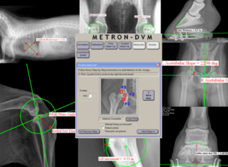 Metron features Guided Mark-up for Patented Hoof Analysis system, Vertebral Heart Score (VHS) for dogs and cats, Hip Distraction Index and Compression Index for dogs and cats and TPLO, TTA, Norberg Hip, and DAR analysis for dogs.