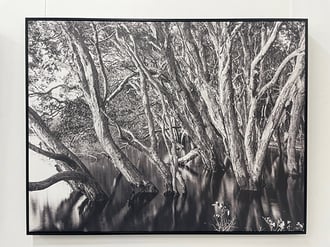 'Lake Ainsworth' 120 x 80cm Canvas with black floating frame SOLD