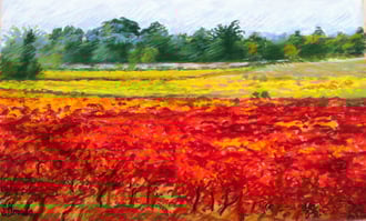 Auriac, vigne en automne, pastel, Sylvie Berman artiste peintre ( collection particulière)