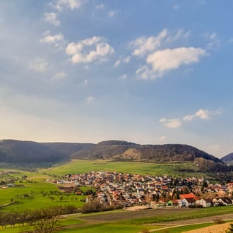 by Ferenc Vejki-Balogh