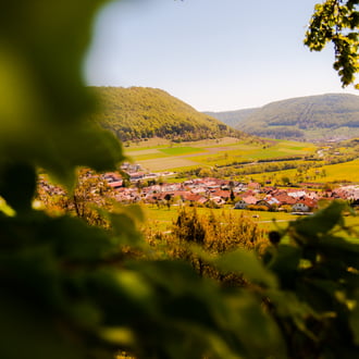 by Ferenc Vejki-Balogh