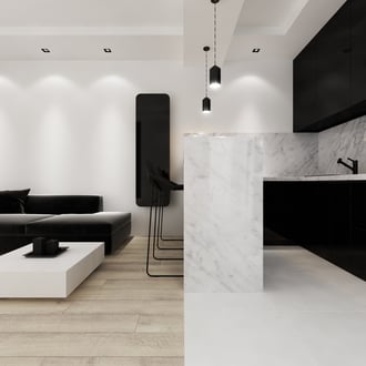 Projekt biało-czarnej kawalerki