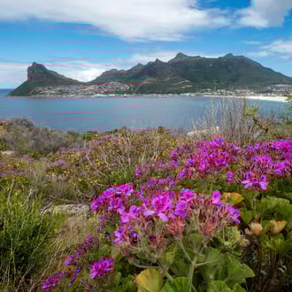 Südafrika * 2017 * © Olaf Karwisch