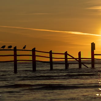 Ostsee* 2020 * © Olaf Karwisch