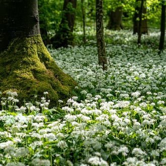 Aalen * 2020 * © Olaf Karwisch