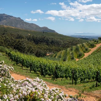 Südafrika * 2017 * © Olaf Karwisch