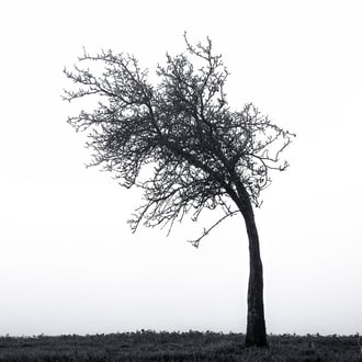 Aalen * 2021 * © Olaf Karwisch