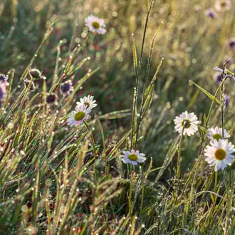 Aalen * 2020 * © Olaf Karwisch
