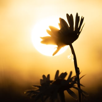 Aalen * 2022 * © Olaf Karwisch