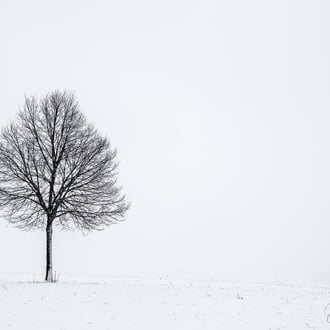 Aalen * 2020 * © Olaf Karwisch