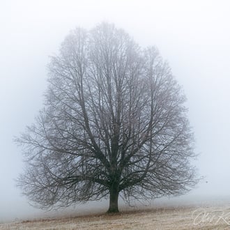 Aalen * 2020 * © Olaf Karwisch