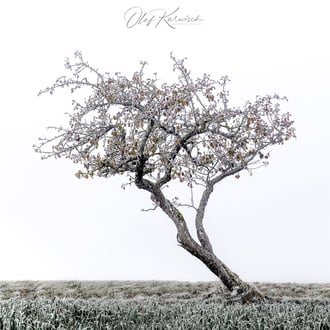 Aalen * 2020 * © Olaf Karwisch