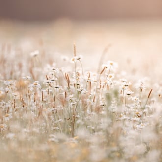 Aalen * 2022 * © Olaf Karwisch