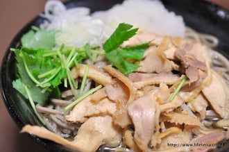 LifeTeria blog ブログ　山形田