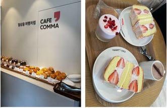 弘大の「CAFÉ COMMA」 クリームたっぷりの大きなカステラが人気！断面の迫力がすごい！