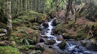 aaa AYDIUS location gite aydius