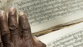 Himalaya Tours, Newsletter, News aus dem Himalaya, Neues aus Nepal, Ladakh, Bhutan, Tibet, Sikkim