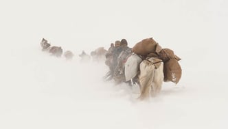 Thomas Zwahlen, Diashow, Explora, Himalaya, Nomaden im Himalaya, Quer durch den Himalaya, Nepal, Tibet, Amdo, Kham, Ladakh