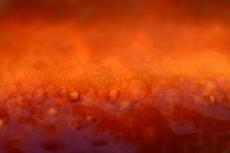 Kuchen in herbstlichem Abendlicht