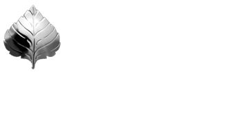 Hayes Silver and Goldsmithing