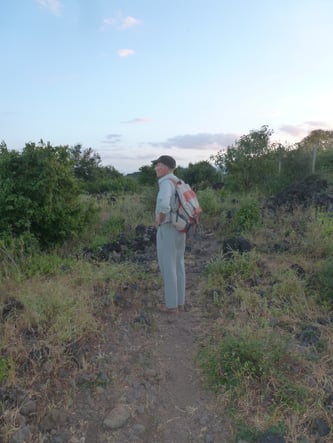 Steve hält  nach Elefanten Ausschau