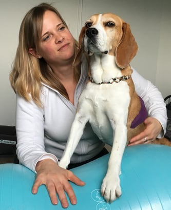 Hunde-Fitness, Therapie und Prävention in der Zentralschweiz