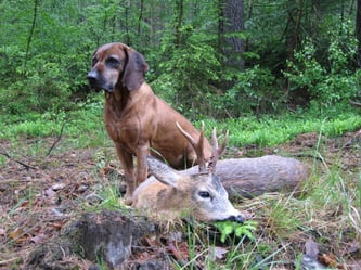 06.06.1996 - 31.01.2012