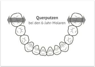 Querputzen der 6-Jahr Molaren (© tearoad - Fotolia.com)