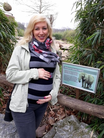 mama-chill-mal_daisy_schwanger_elefantendame