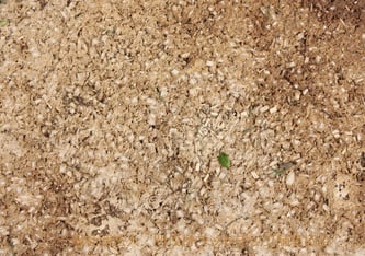 固化後の表情3(非常によく固化が進んだ場所)