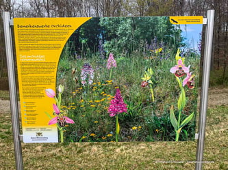 Mit dem Wohnmobil am Rhein in den Taubergießen