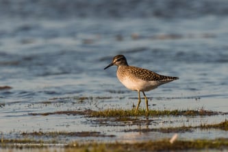 Mit dem Wohnmobil am Götakana im Süden Schwedens