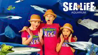 Sea Life Aquarium, ocean animals